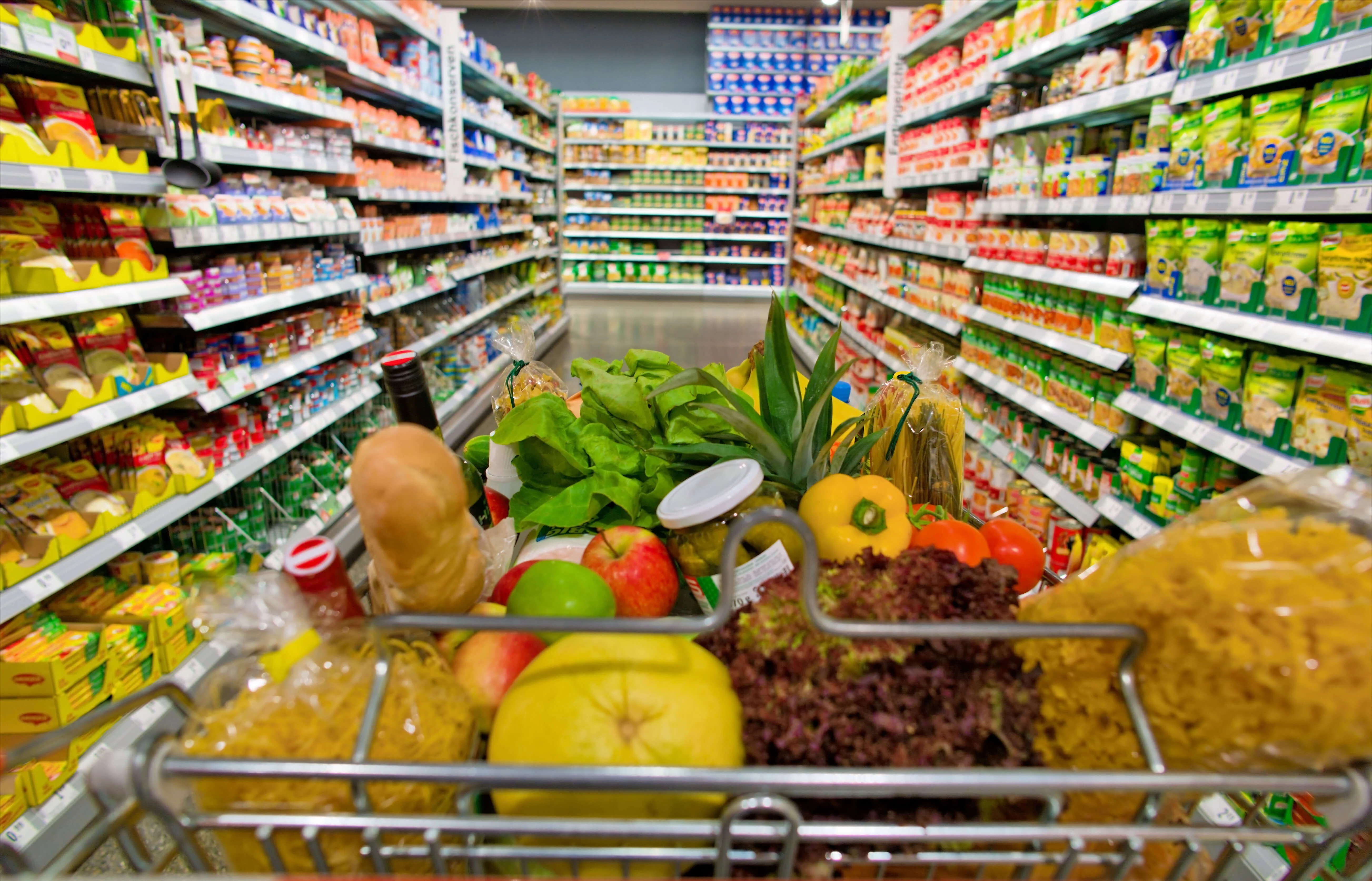 Alimentation